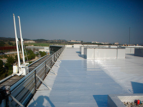 DESM-1